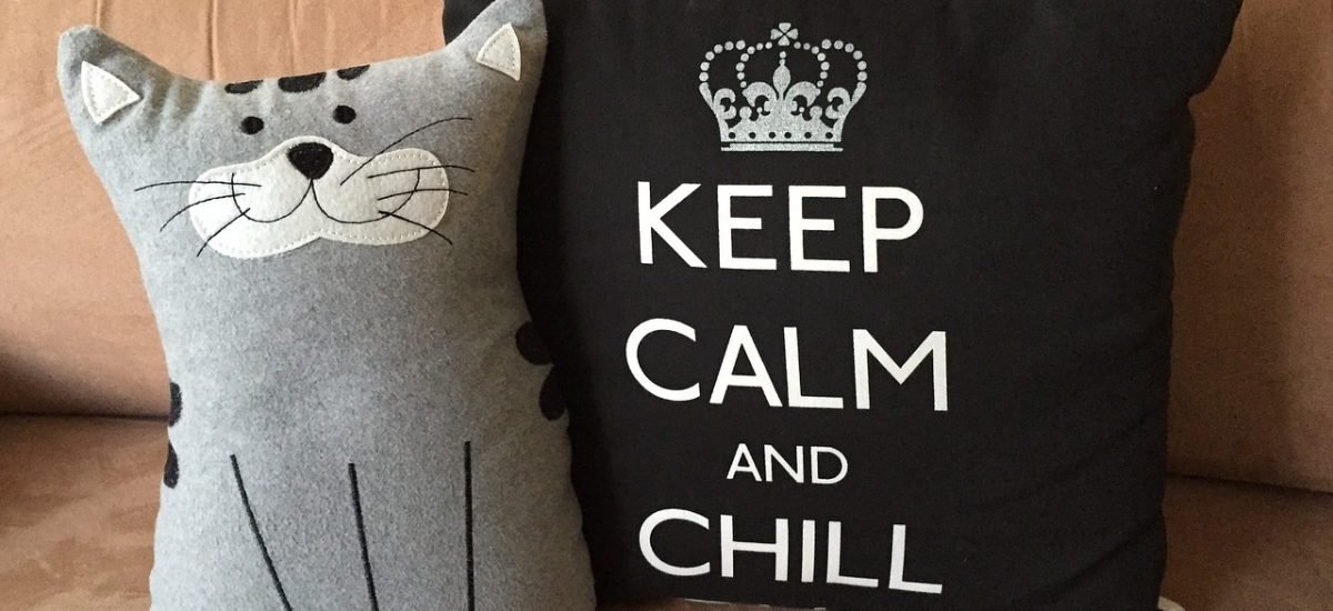 pillow, relax, chill-650243